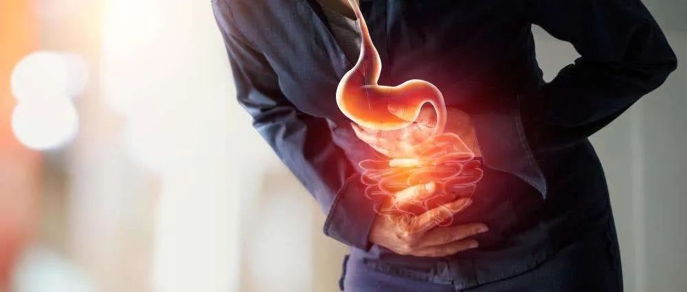 干货分享：2021日本胃食管反流病循证临床实践指南