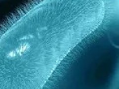 幽门螺杆菌根除治疗对胃肠道微生态有哪些影响？