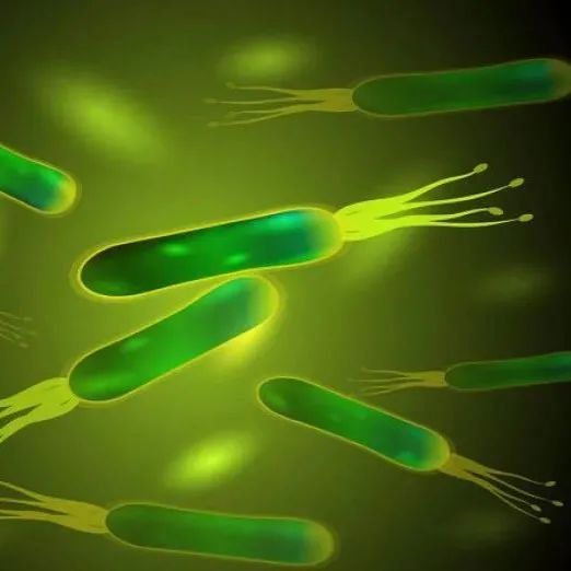 11种常见上消化道异物的内镜下处置